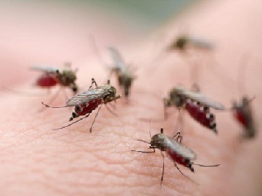 勒流四害消杀公司杀死蚊子和苍蝇有没有什么好的办法