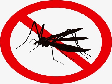 龙江四害消杀公司驱蚊子灭蚊子防蚊子的小知识