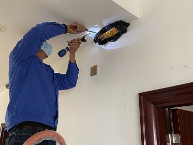 龙江验收白蚁机构房屋建筑如何灭治白蚁危害