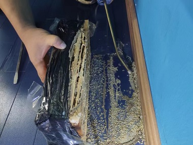 勒流杀灭蚁害公司白蚁危害的三大特性