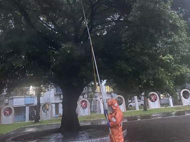 龙江蜂巢防控——发现马蜂窝怎么处理最安全？